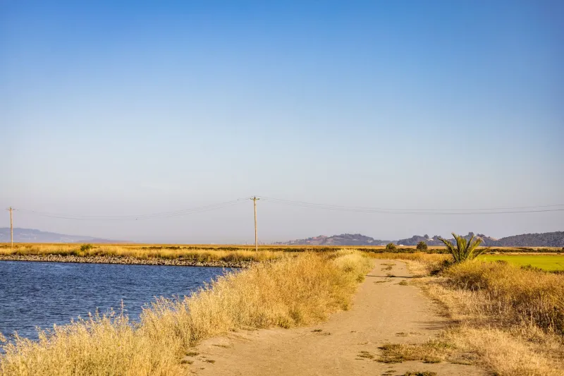 The Invisible Paths Through American Farmland — and Why a Few Neighbors Never Stopped Using Them