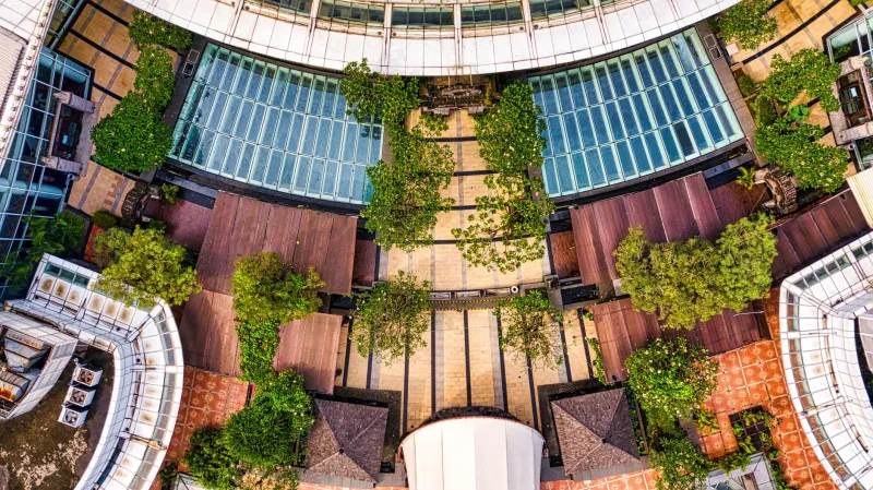 New York Once Grew Food on Its Rooftops to Feed the Poor — and the Idea Worked Better Than Anyone Expected